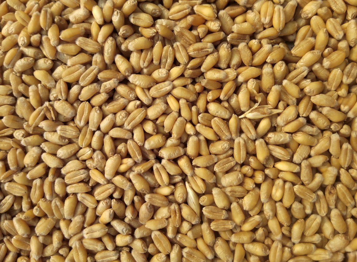 Your trusted partner in global commodity trade