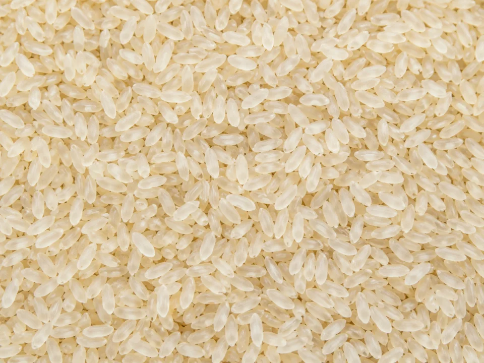 Rice grain sample 2 from our collection