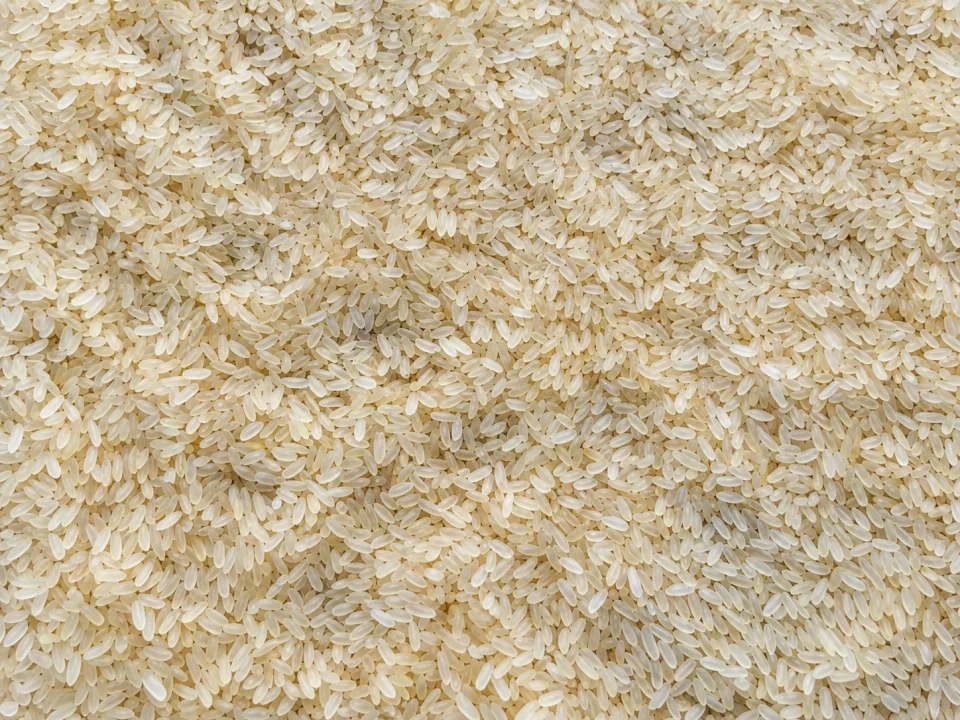 Rice grain sample 3 from our collection
