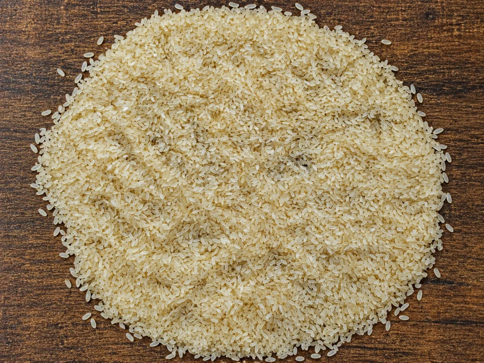 Rice grain sample 4 from our collection