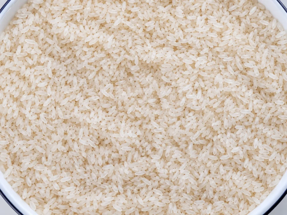 Rice grain sample 5 from our collection