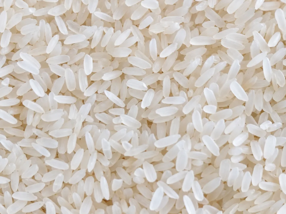 Rice grain sample 10 from our collection