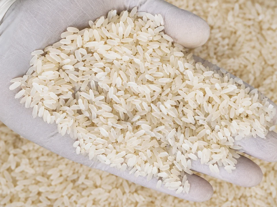Rice grain sample 11 from our collection