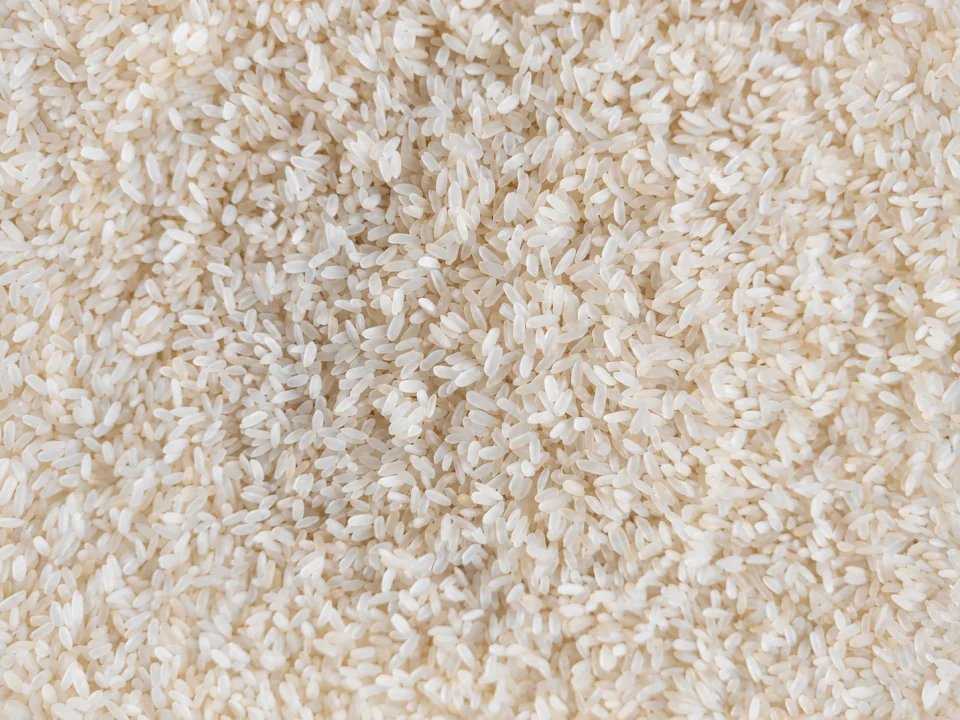 Rice grain sample 16 from our collection
