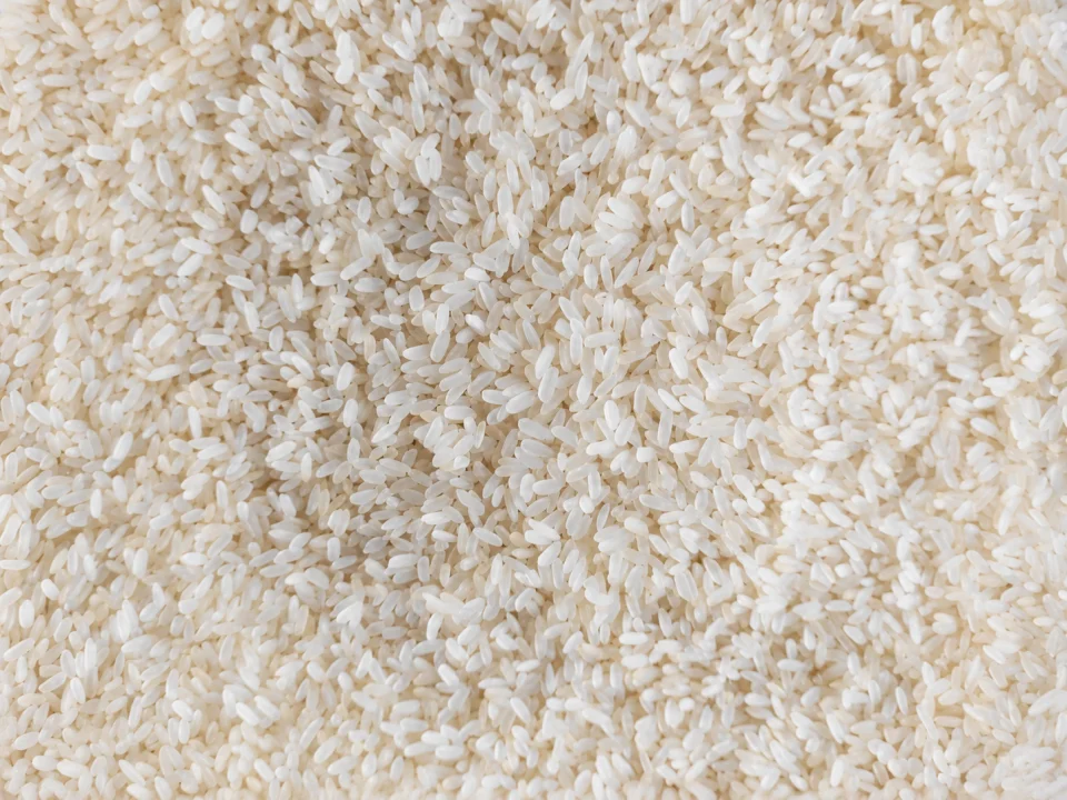 Rice grain sample 19 from our collection