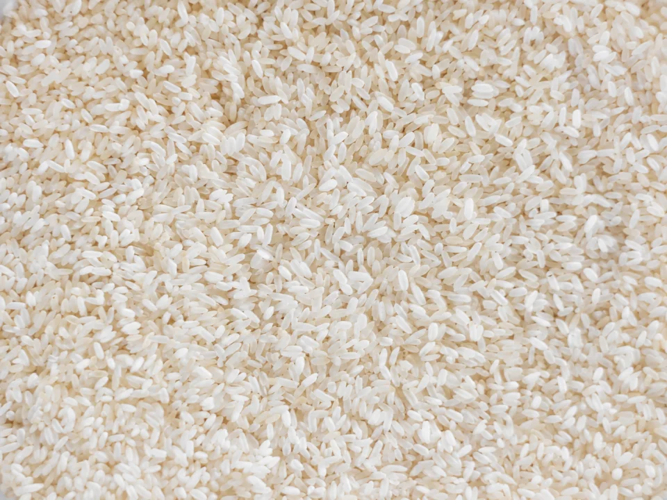 Rice grain sample 20 from our collection