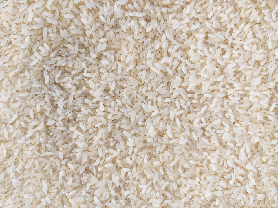 Rice grain sample 21 from our collection
