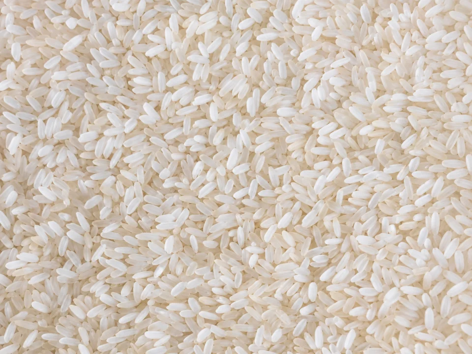 Rice grain sample 22 from our collection