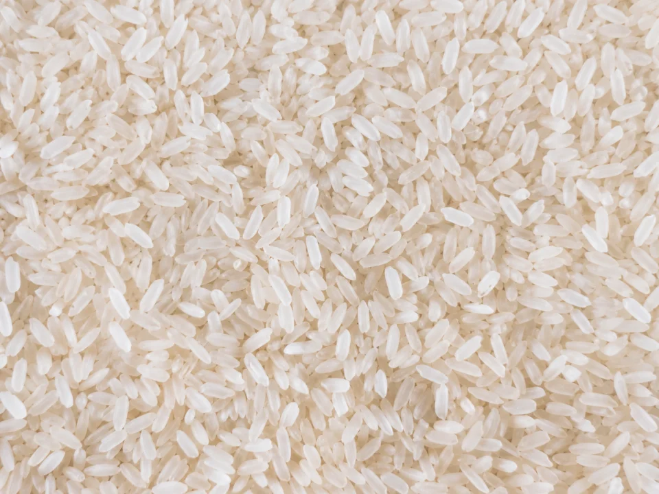 Rice grain sample 23 from our collection