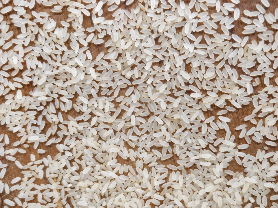Rice grain sample 25 from our collection