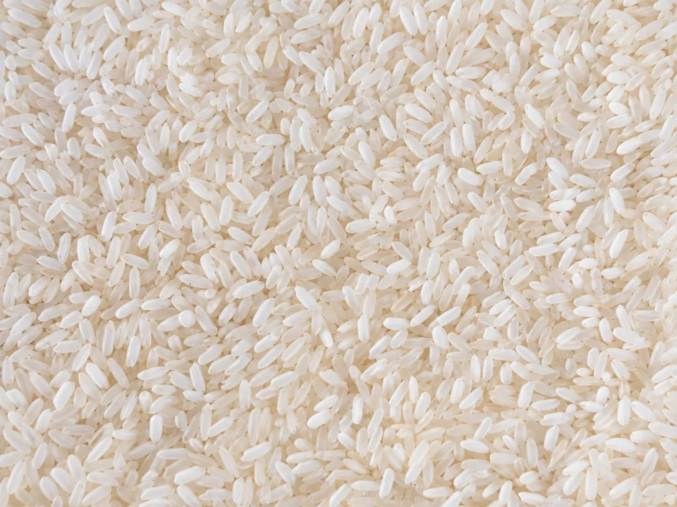 Rice grain sample 26 from our collection