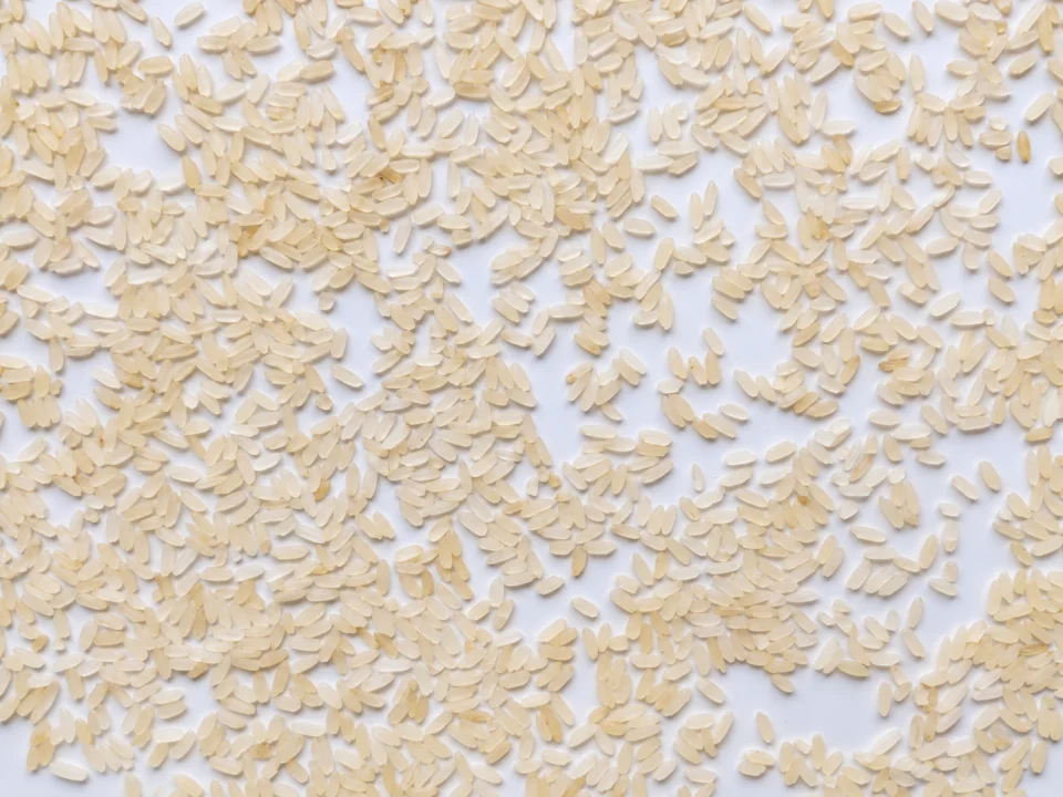 Rice grain sample 27 from our collection