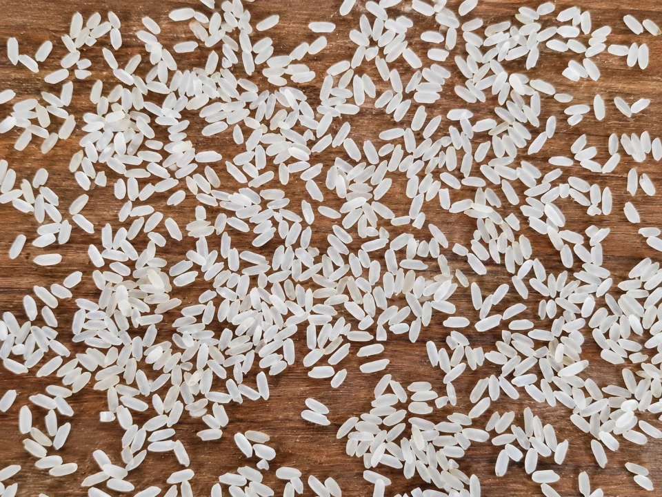 Rice grain sample 29 from our collection