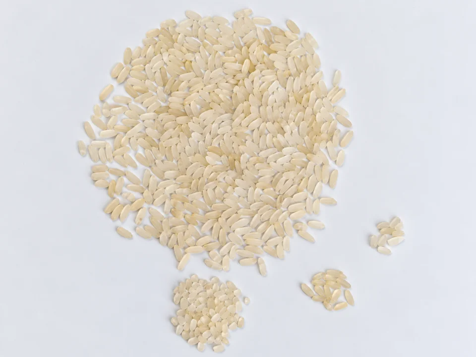 Rice grain sample 33 from our collection