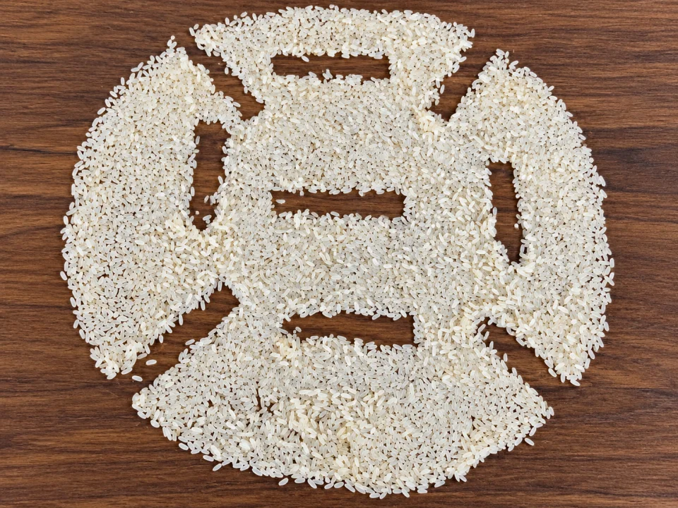 Rice grain sample 34 from our collection
