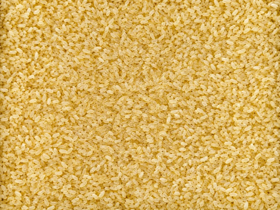 Rice grain sample 40 from our collection