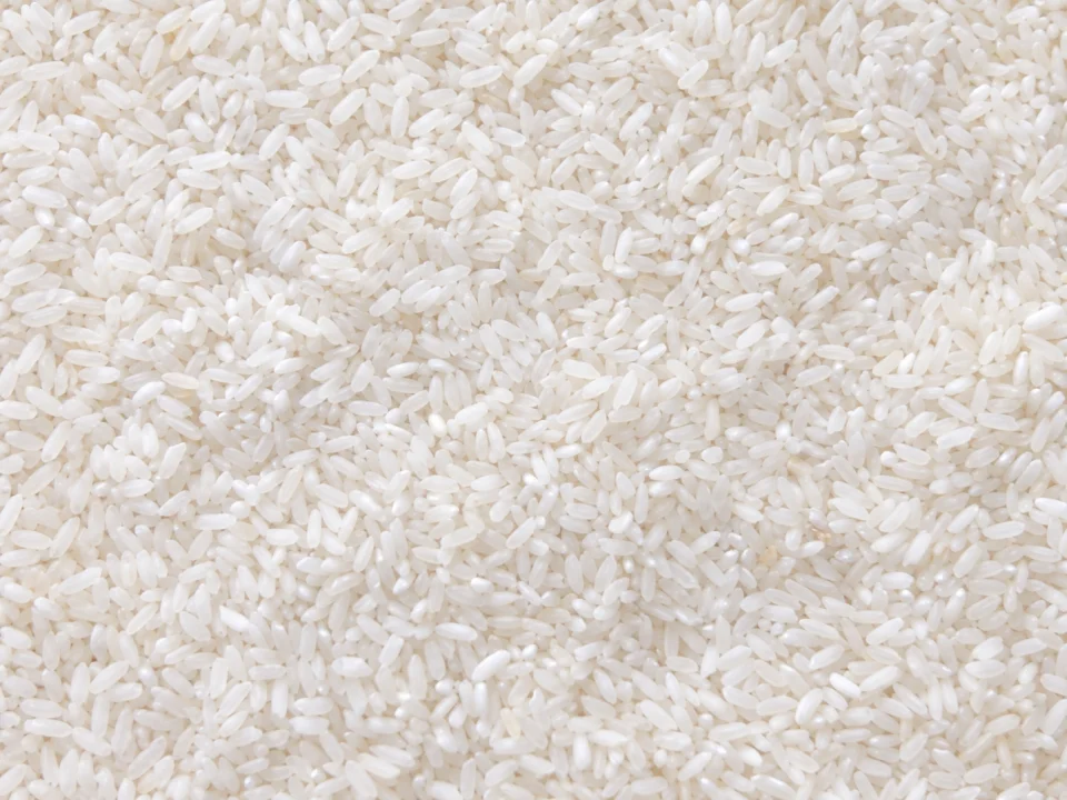 Rice